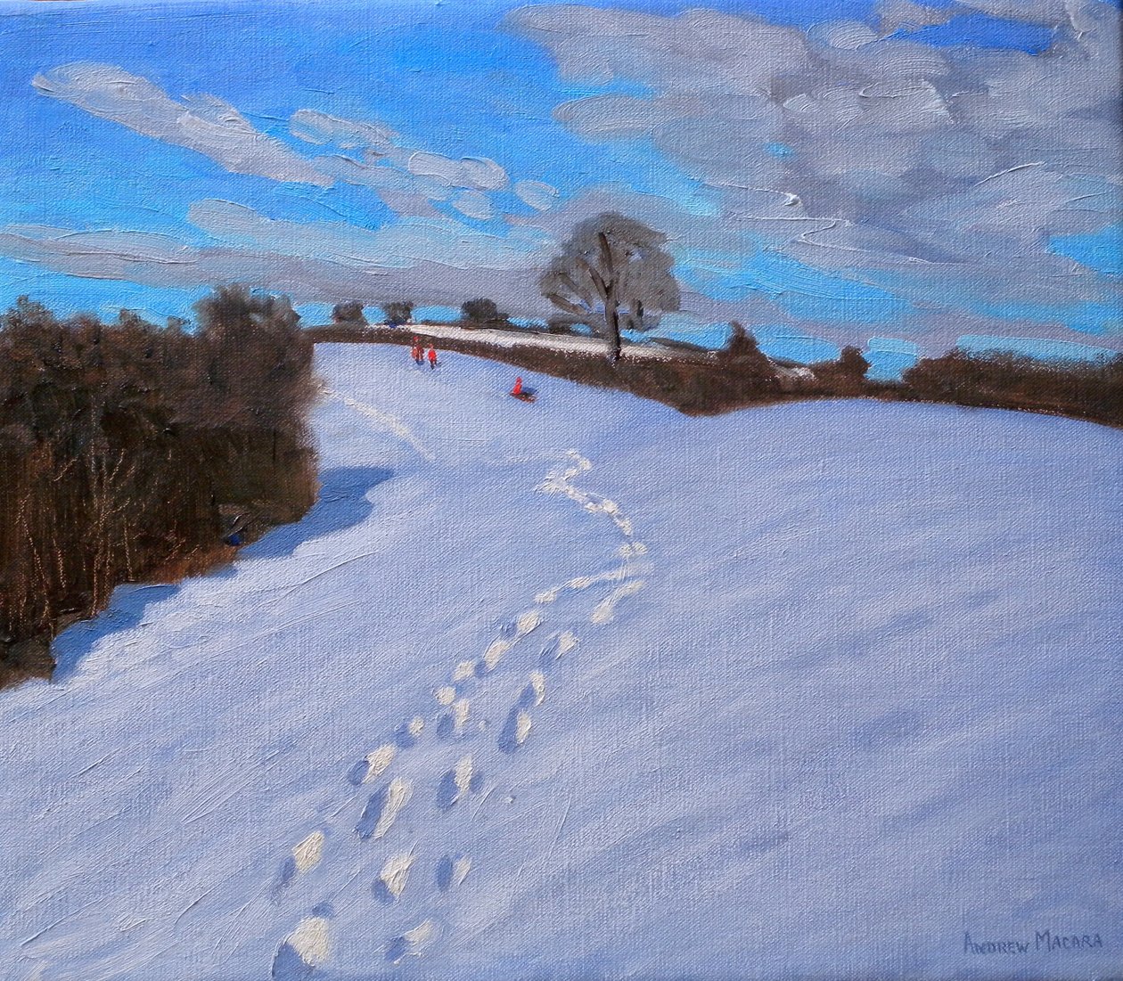 Footprints in the Snow, 2009 af Andrew Macara