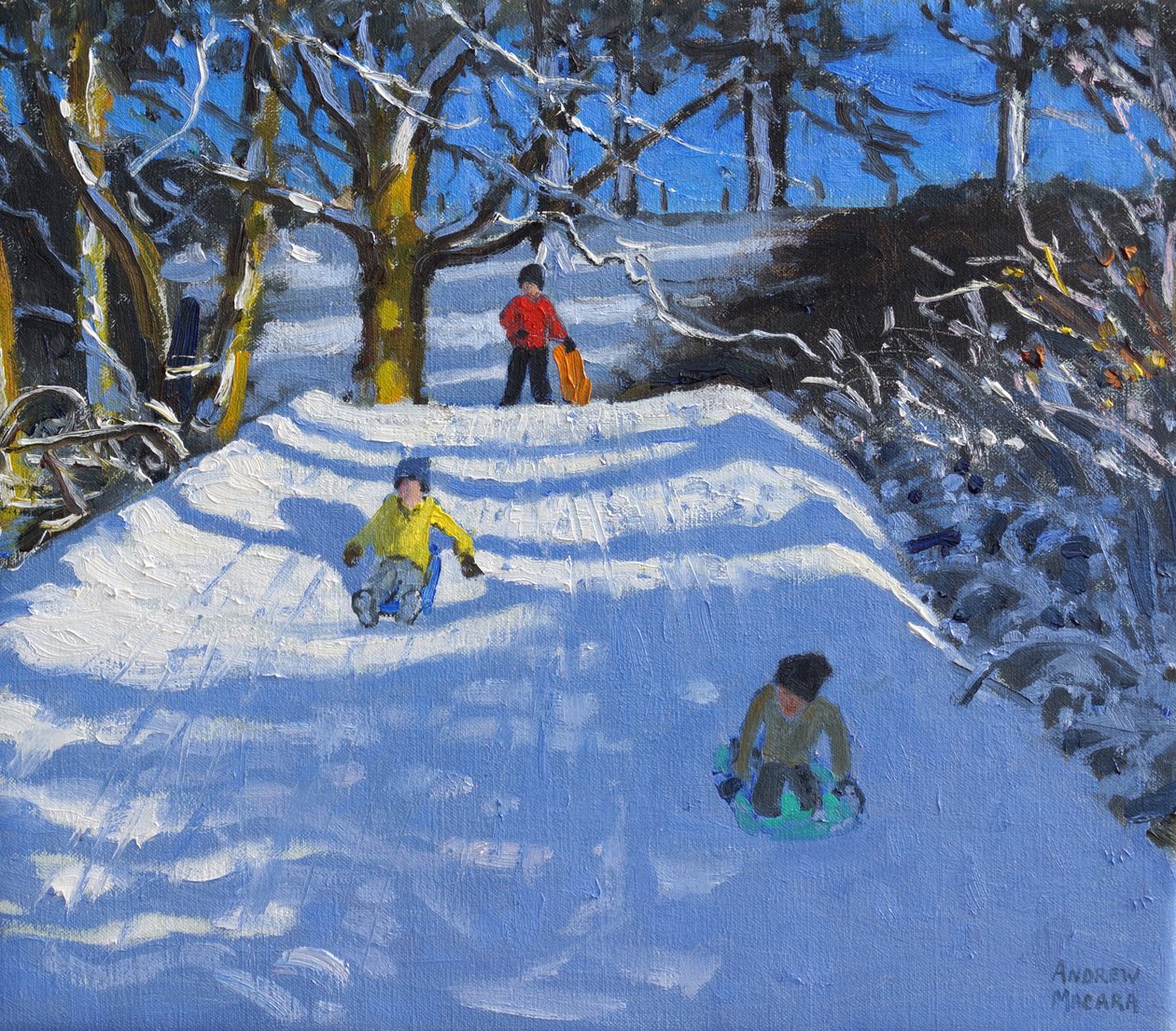 Sjov i sneen, Wash Green, Derbyshire, 2014, af Andrew Macara