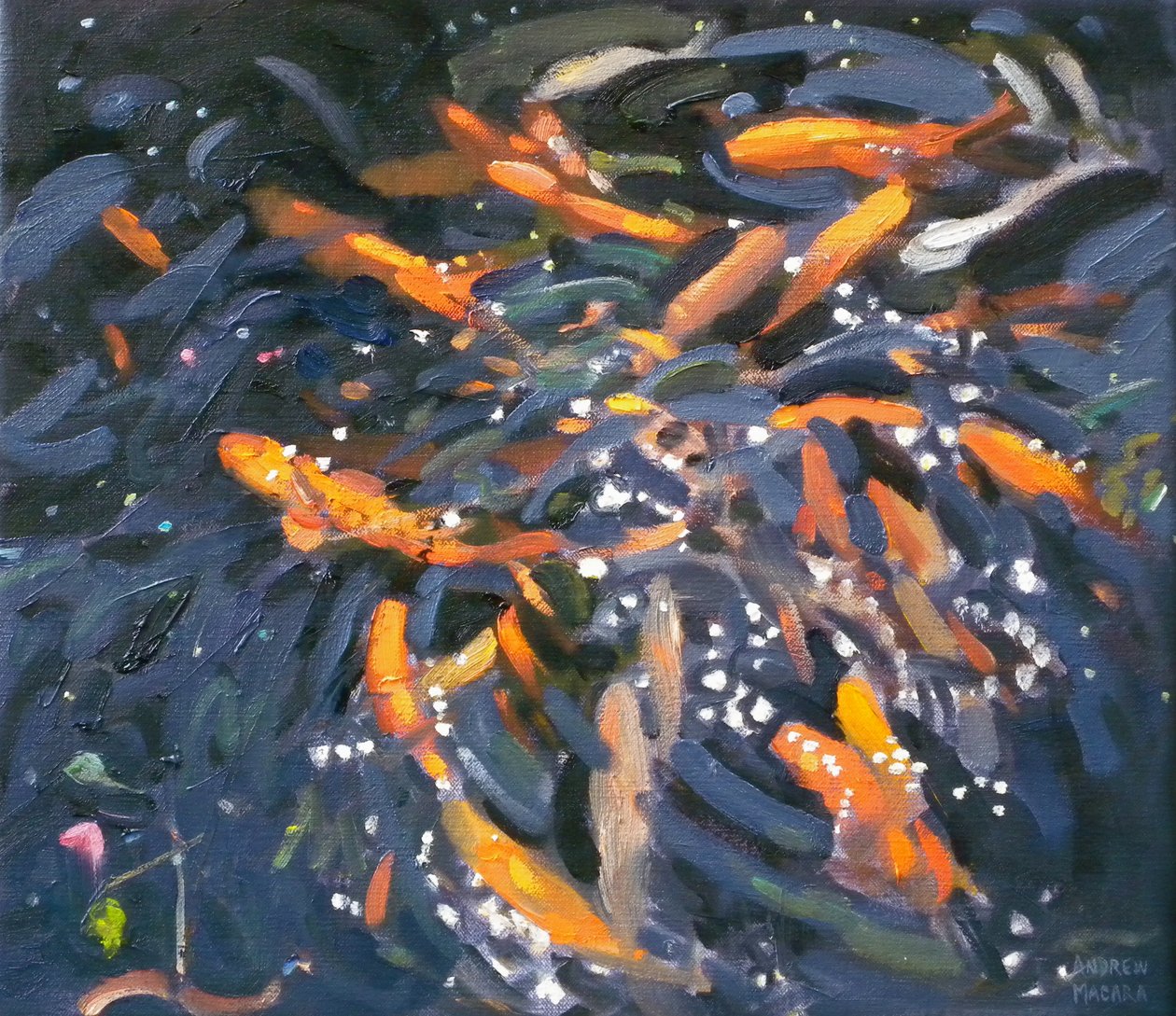 Guldfisk, 2010 af Andrew Macara