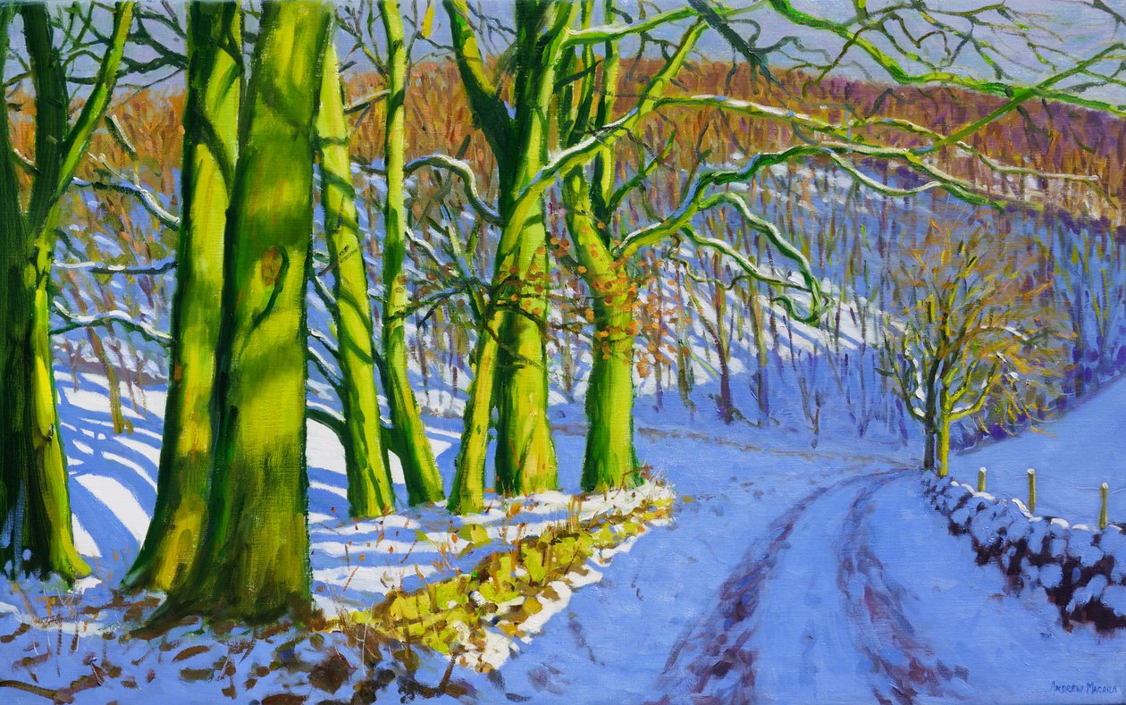 Grønne træer, vinter; Dam Lane; Derbyshire, af Andrew Macara