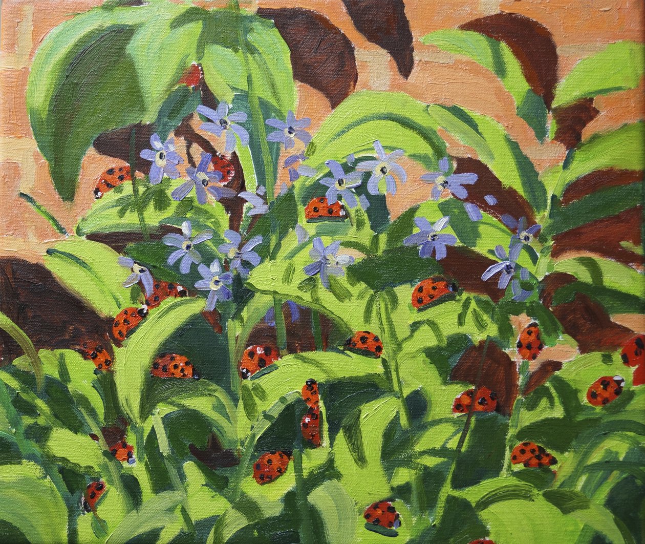 Mariehøns, 2013 af Andrew Macara
