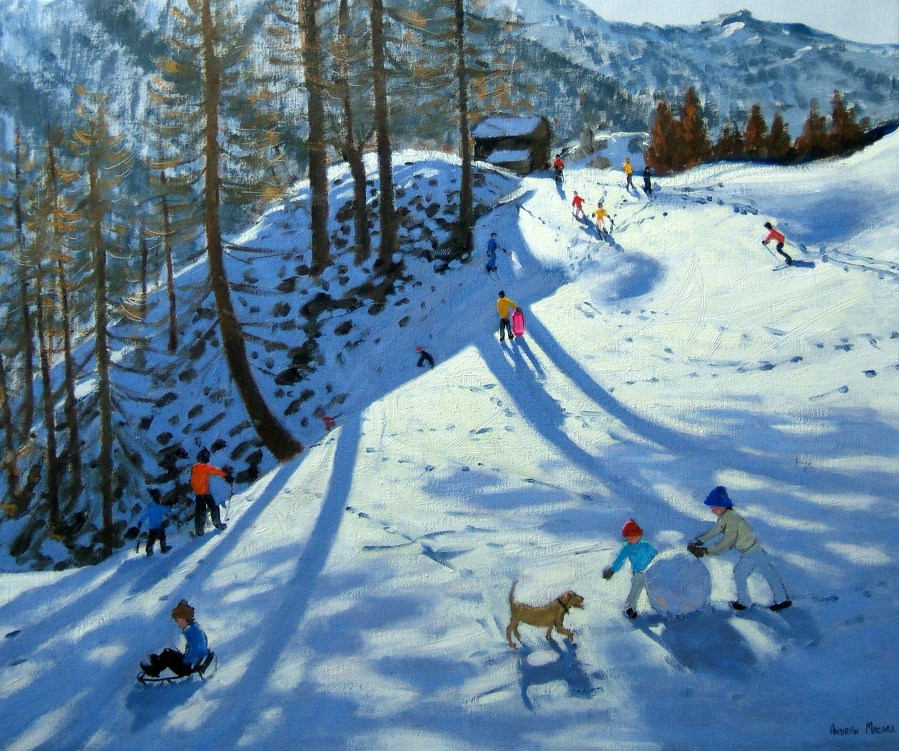 Stor snebold, Zermatt af Andrew Macara