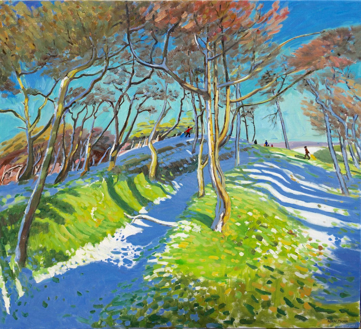 Sidste sne, Ladmanlow, 2015 af Andrew Macara