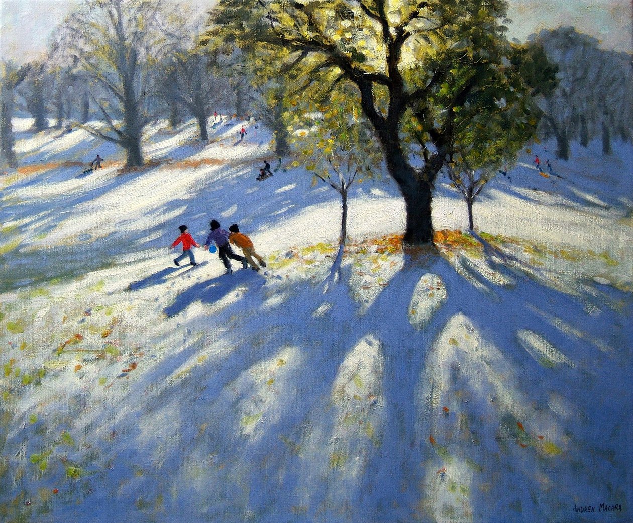 Markeaton Park, tidlig sne af Andrew Macara