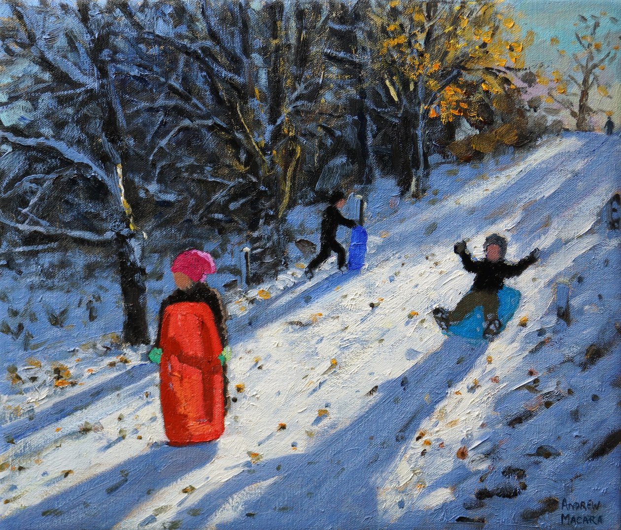 Rød slæde,Allestree Park Derby. 2014 af Andrew Macara