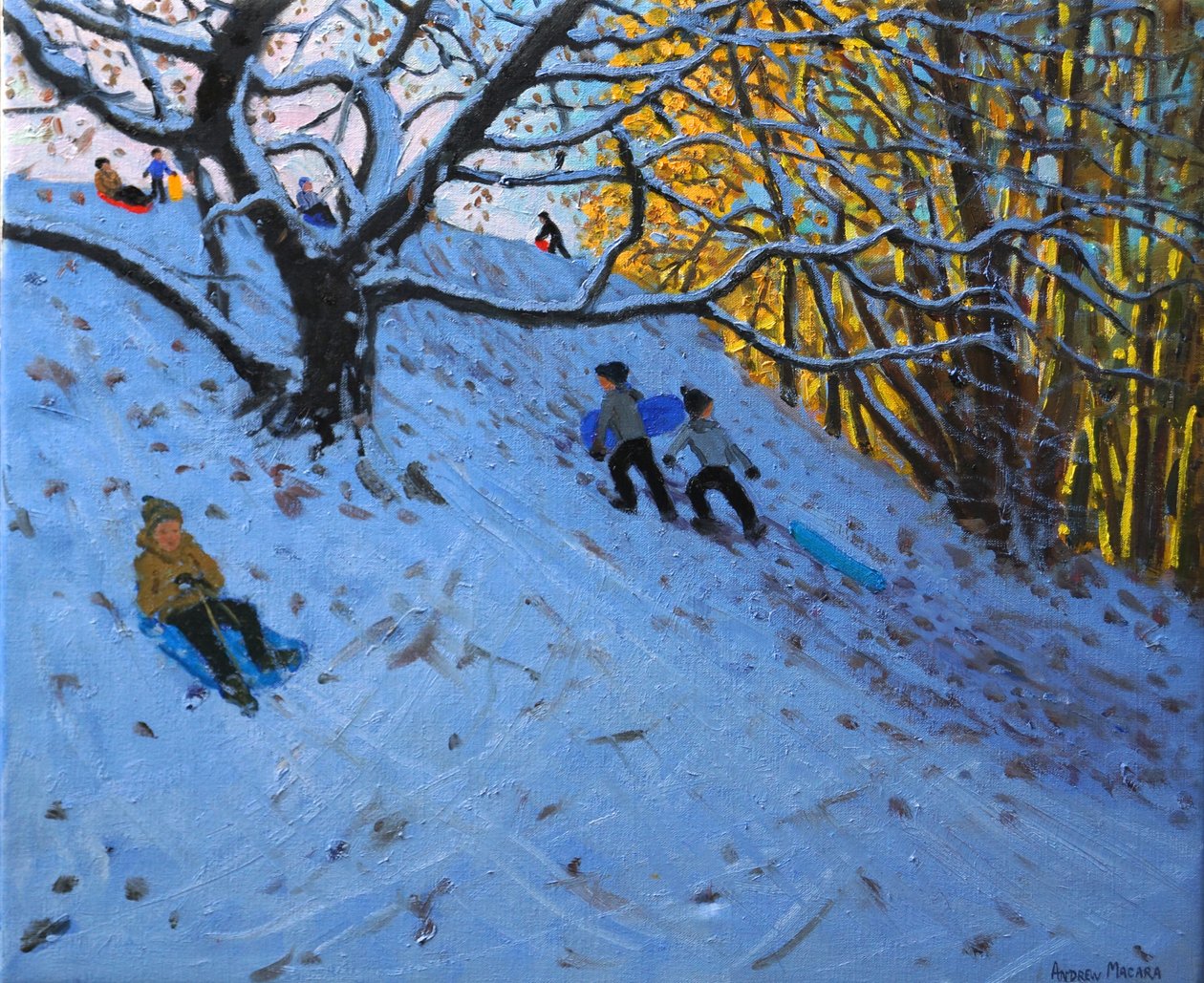Sledging Allestree Golfbane (3. hul) 2014 af Andrew Macara