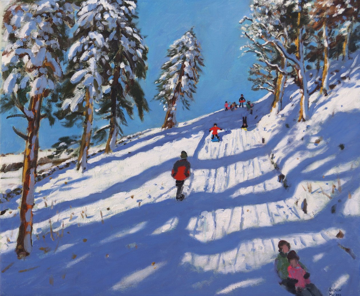 Slædekørsel, Hillside, Glossop, 2015, af Andrew Macara