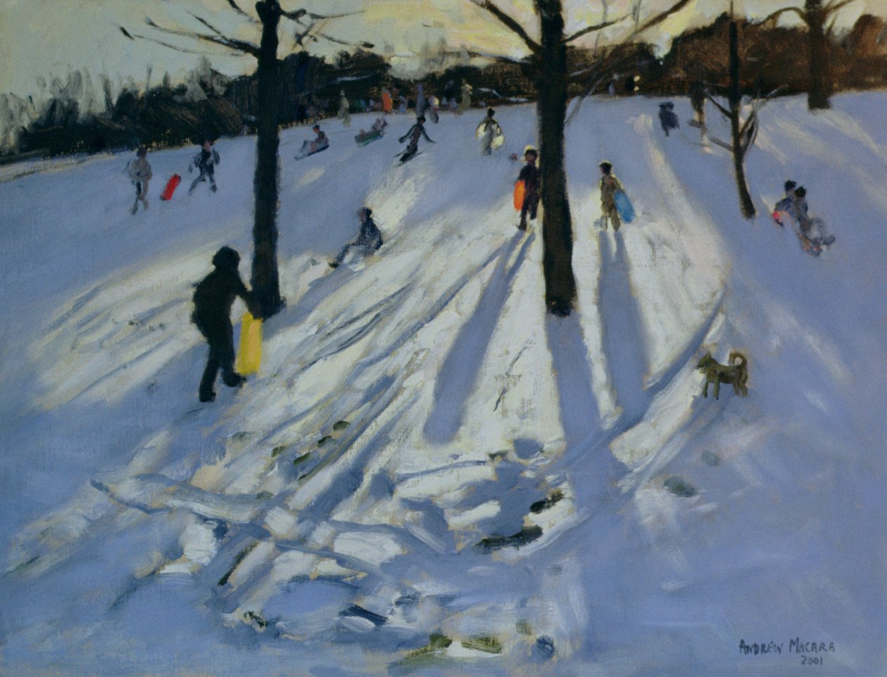 Snow, Rykneld Park, Derby, 2001 af Andrew Macara