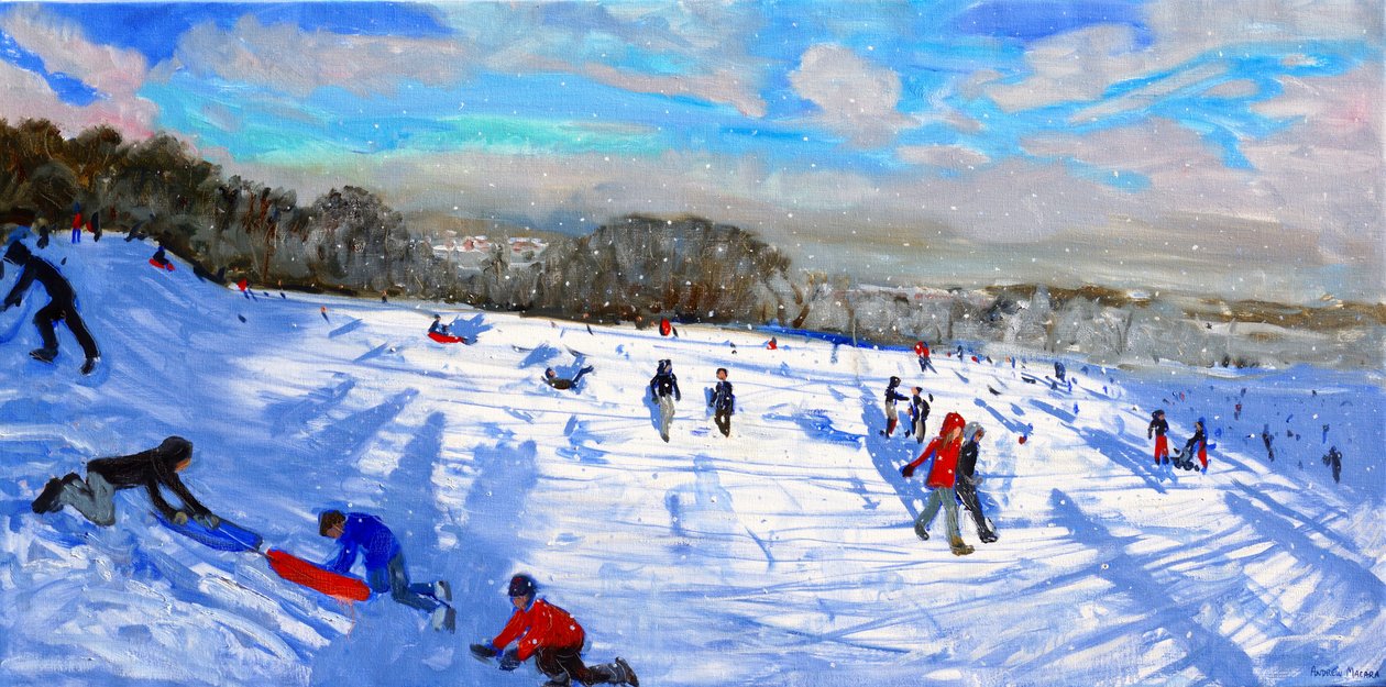 Snebyger, Allestree Park, Derby. af Andrew Macara