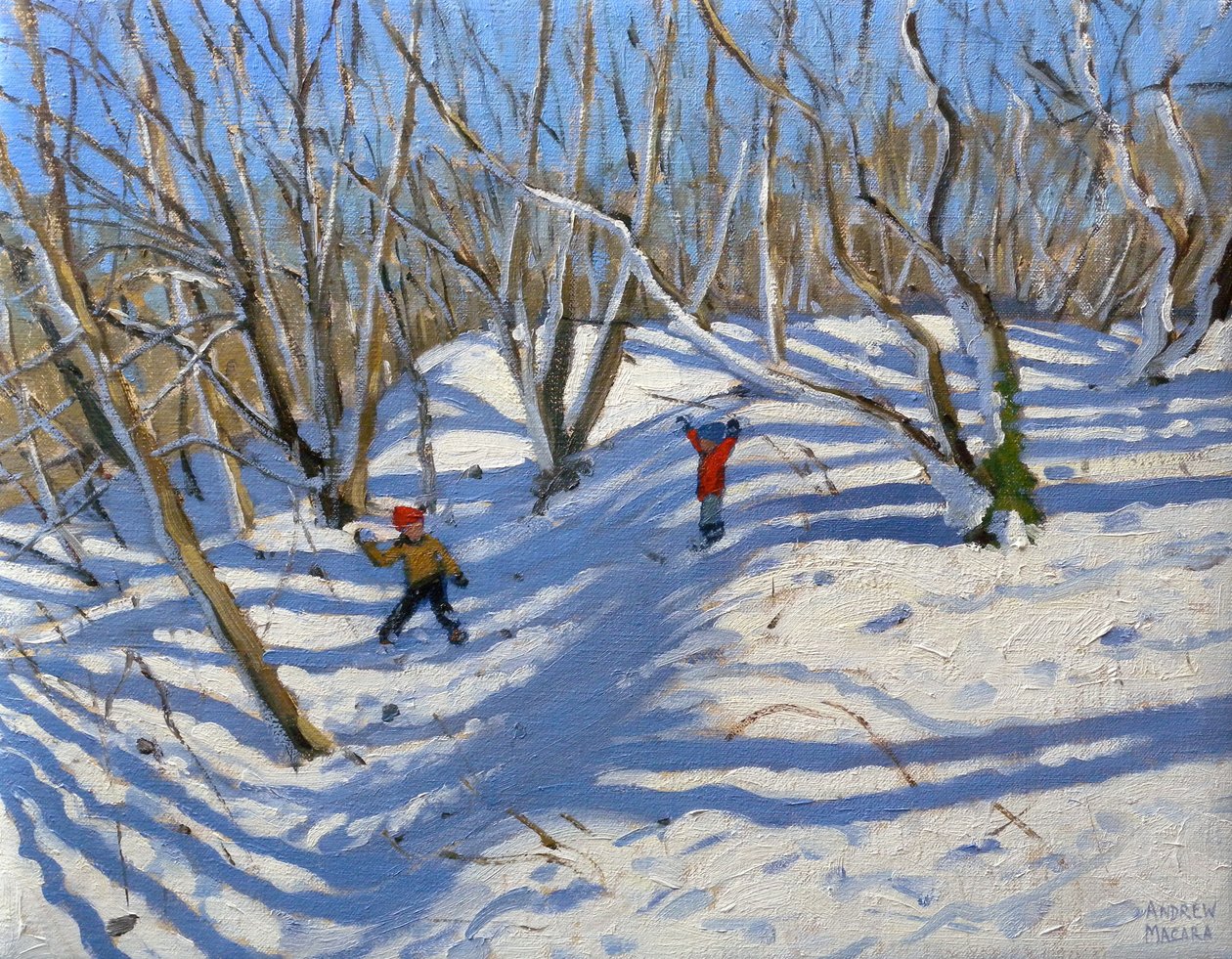 Spring Snow, Newhaven Derbyshire, 2008 af Andrew Macara