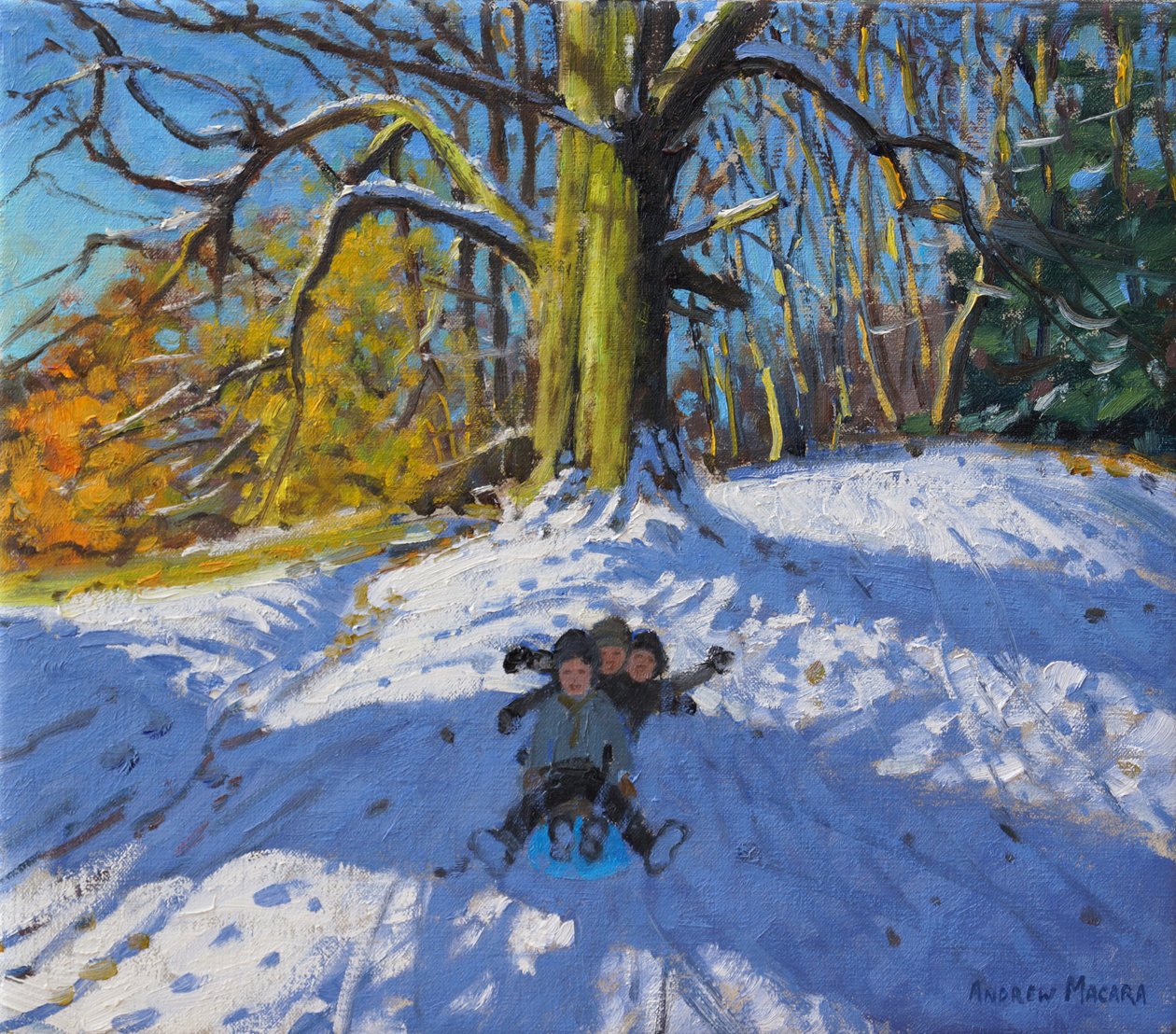 Tre på en slæde, Allestree Park Derby .2014, af Andrew Macara