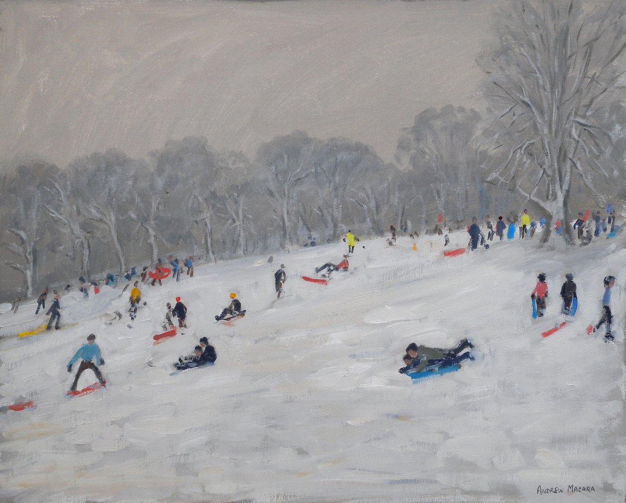 Winter, Darley Park, 2009 af Andrew Macara