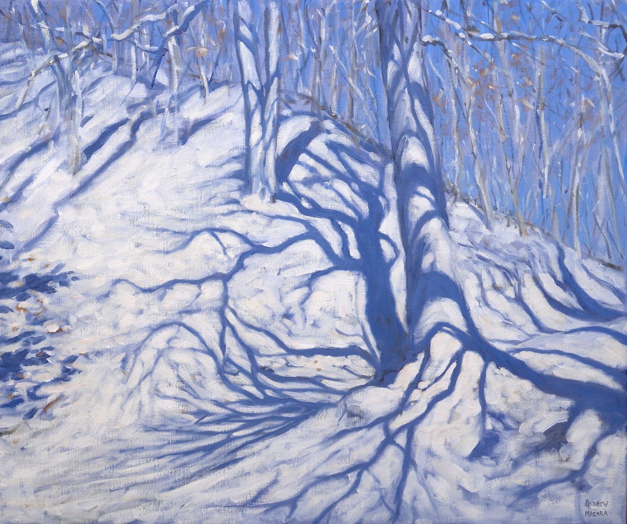 Vinterskov, nær Courcheval, 2008 af Andrew Macara