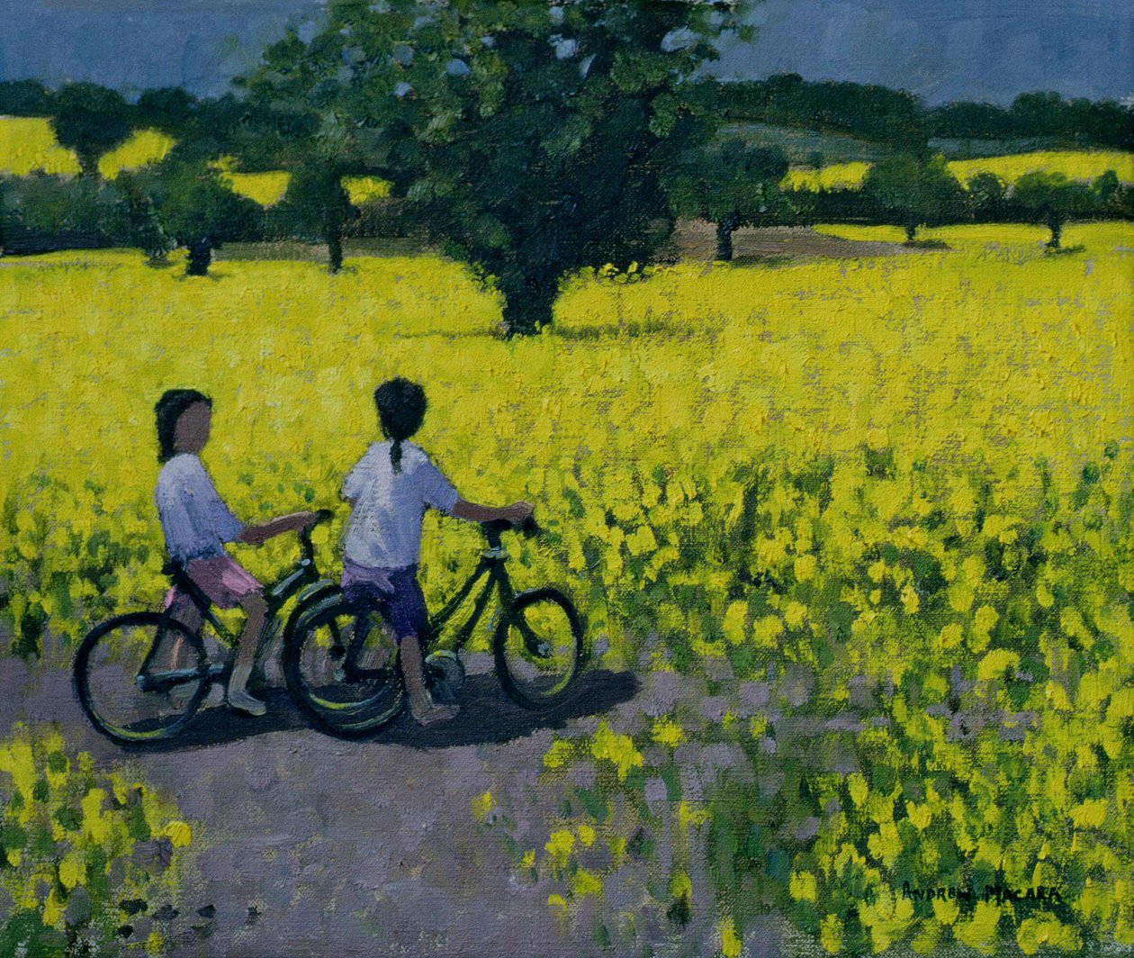 Yellow Field, Kedleston, Derby af Andrew Macara