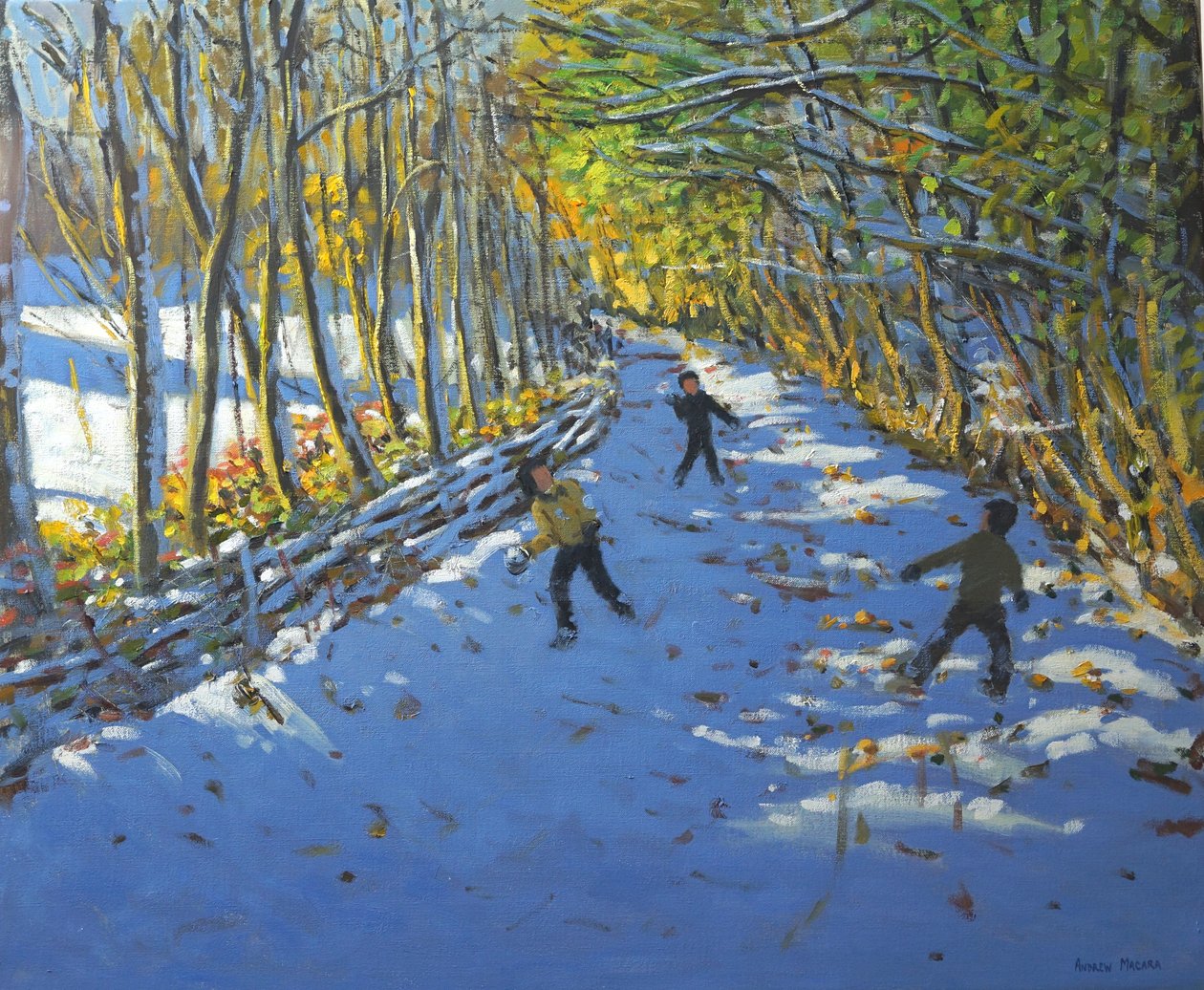 Gule træer, Allestree Park, 2012 af Andrew Macara