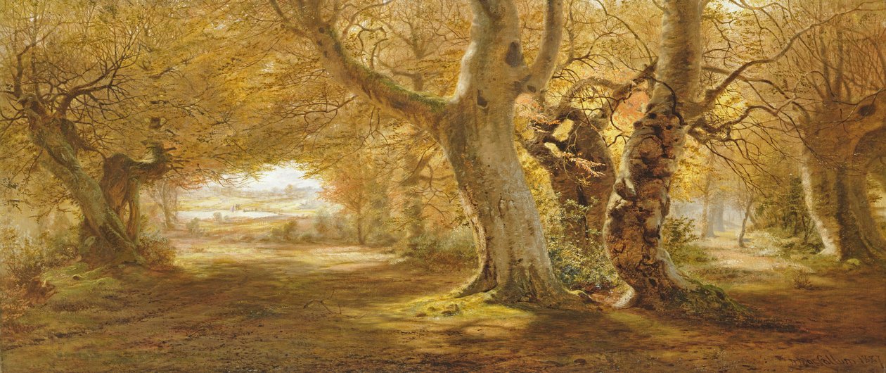 Et skovklædt landskab, 1887 af Andrew McCallum