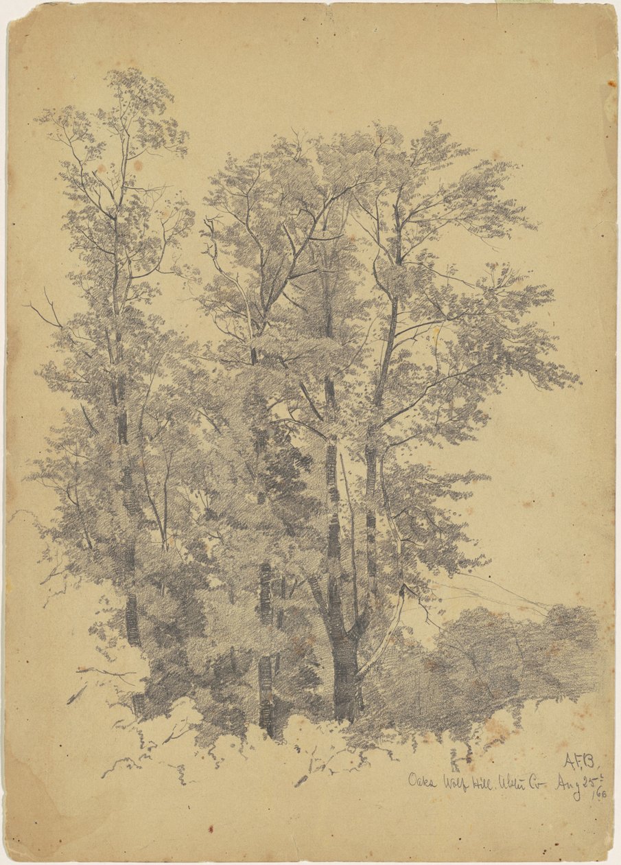 Oaks, Wolf Hill, Ulster County af Andrew Fisher Bunner