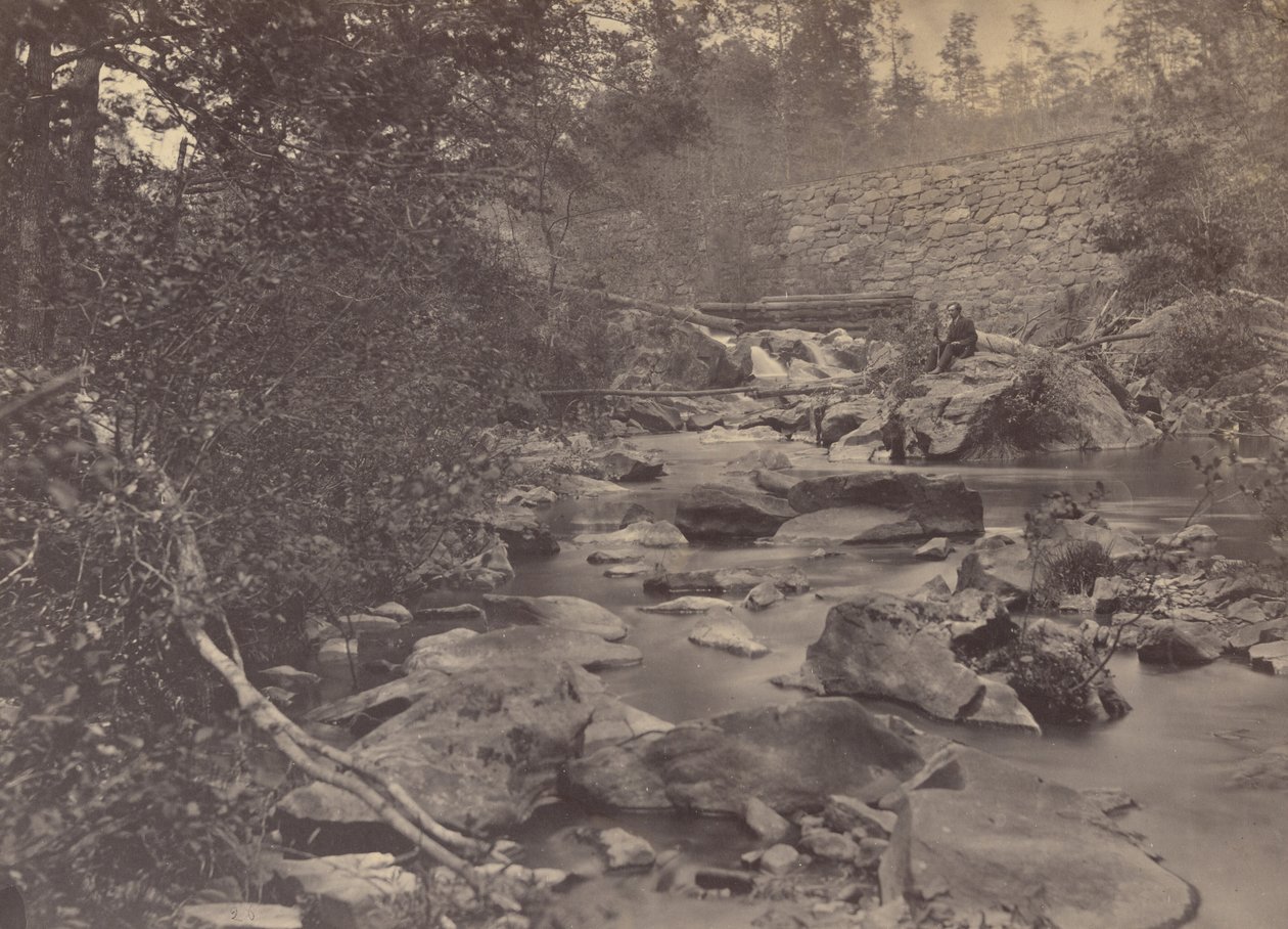 Arlington Mills,1863 (foto) af Andrew Joseph Russell