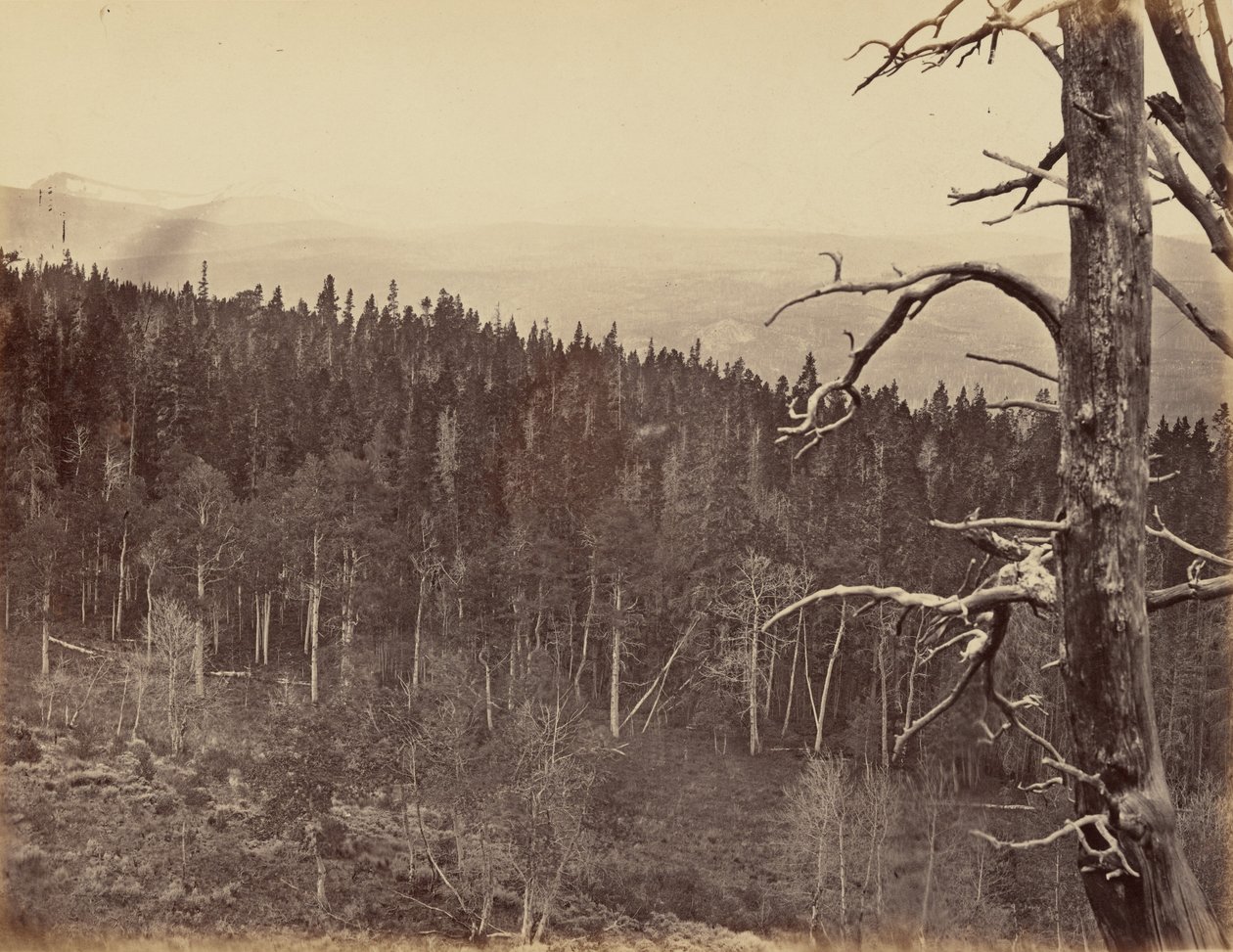 Billede 13. Sne- og tømmerlinje, Laramie-bjergene,1869 (foto) af Andrew Joseph Russell