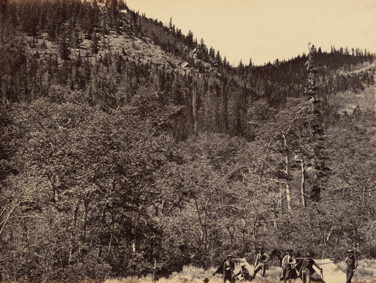 Billede 19. Blandt tømmeret ved begyndelsen af Little Laramie River,1869 (foto) af Andrew Joseph Russell