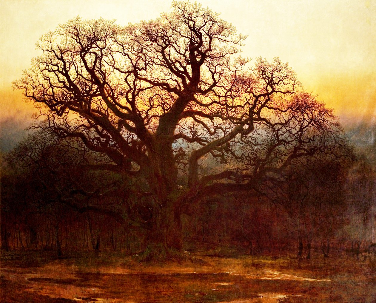 Major Oak, Sherwood Forest, Nottinghamshire, 1882 af Andrew MacCallum