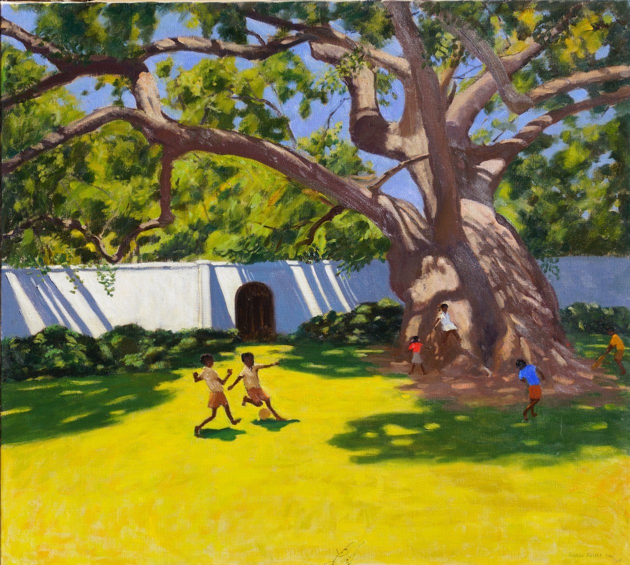 GAMMELT CAMPOR TRÆ,VERGELEGEN ESTATE,SYDAFRIKA af Andrew Macara
