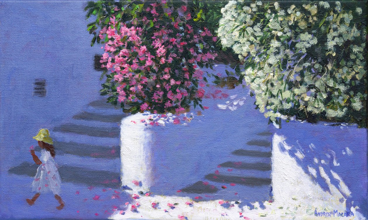 Bougainvillea,Anandas,Milos,Græske øer, 2017, af Andrew Macara