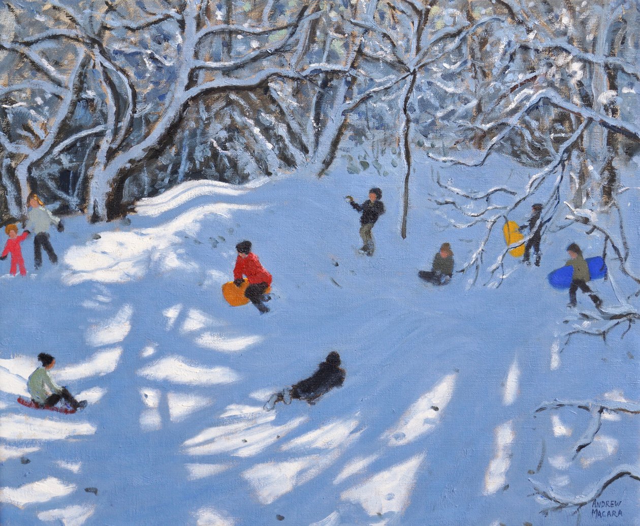 Jul,Allestree Woods,Derby,2017, af Andrew Macara