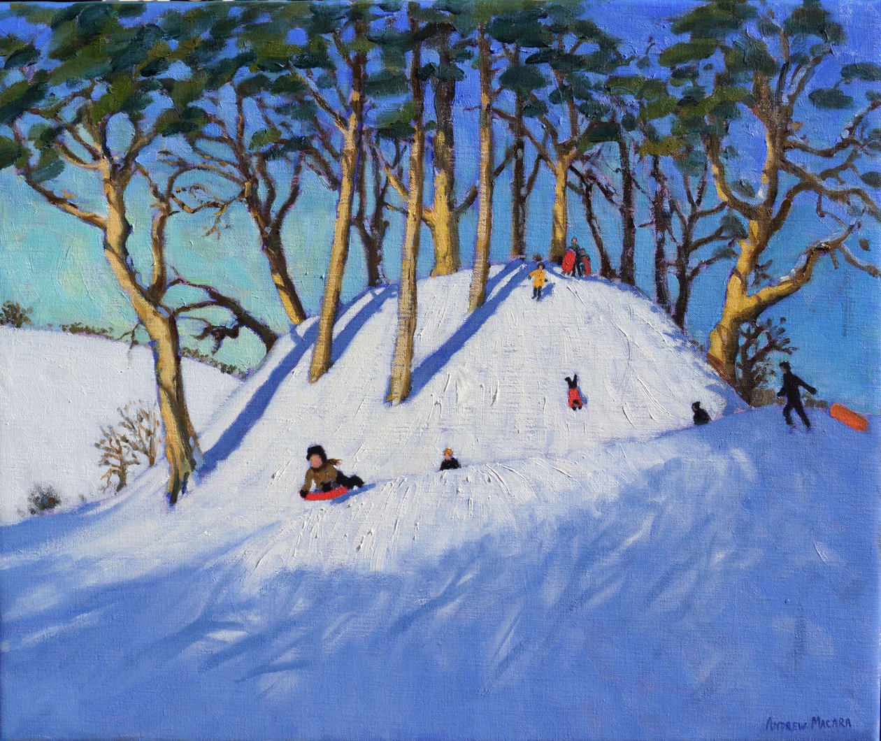 Juleslædekørsel af Andrew Macara