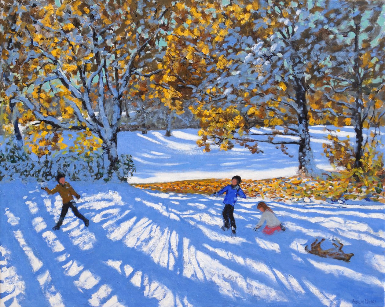 Tidlig sne, Allestree Park. 2017, af Andrew Macara