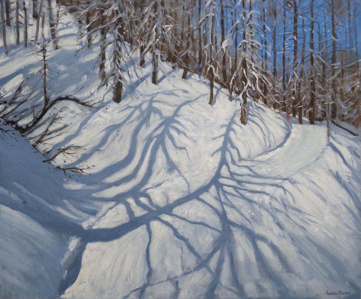 Gran Tree Shadows, Tignes, 2009 af Andrew Macara