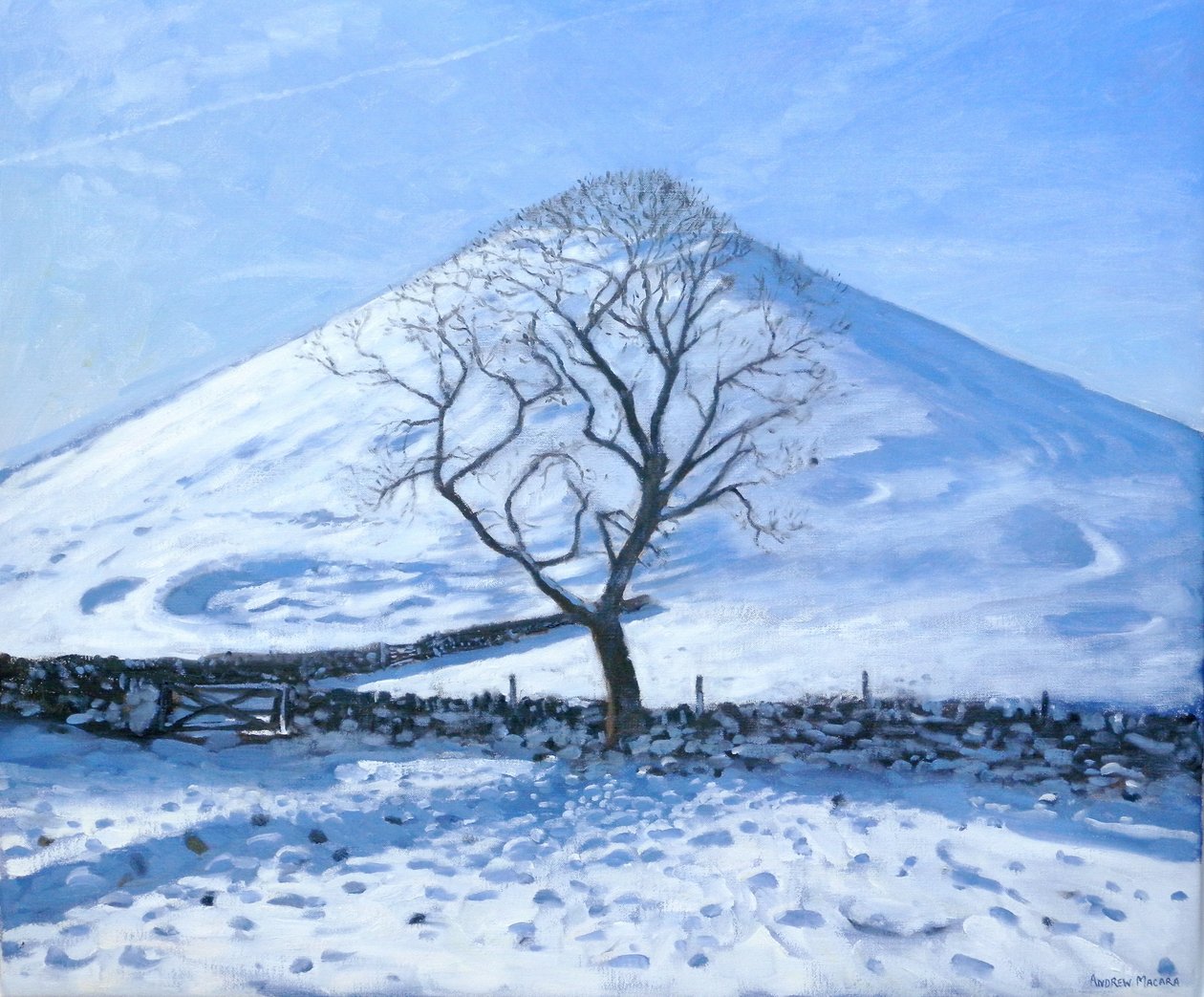 Hill and Tree, Derbyshire, 2008 af Andrew Macara
