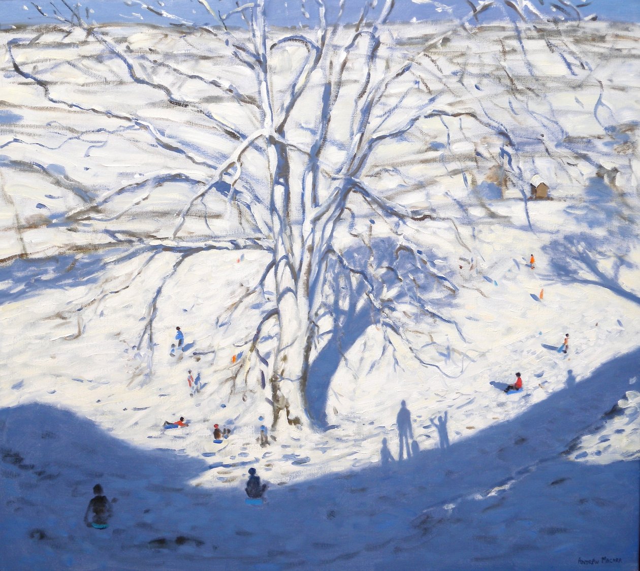 Hillside, Elton nær Rowsley, 2008 af Andrew Macara