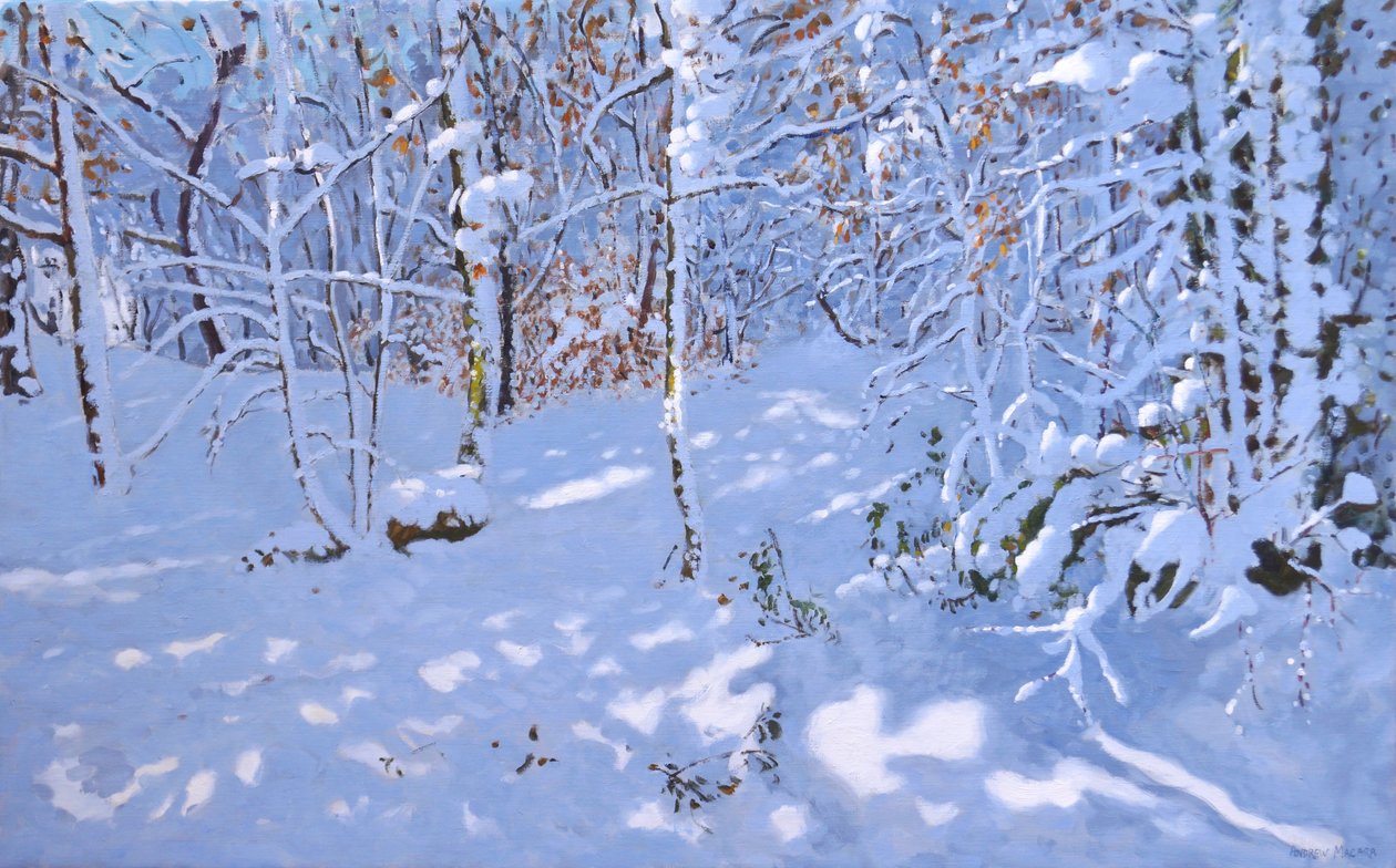 November Snow, Allestree Woods, Derby, (olie på lærred) af Andrew Macara