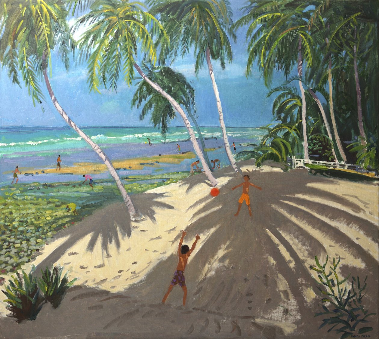 Palmer, Clovelly strand, Barbados, 2013, af Andrew Macara