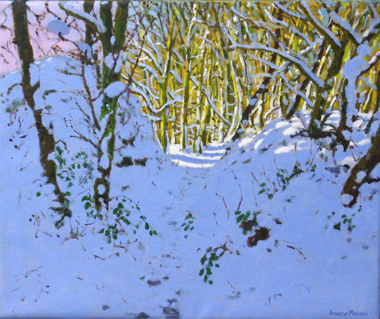 Sti gennem skoven om vinteren, Derbyshire, (olie på lærred) af Andrew Macara