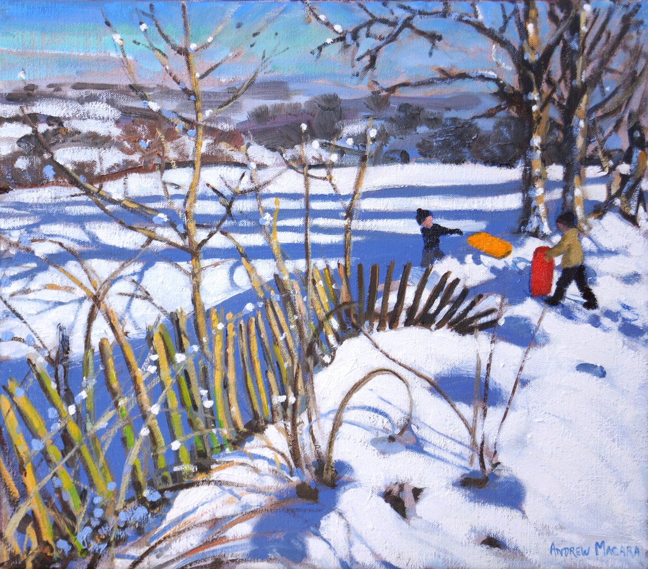 Røde og orange slæder, Derbyshire, 2017, af Andrew Macara