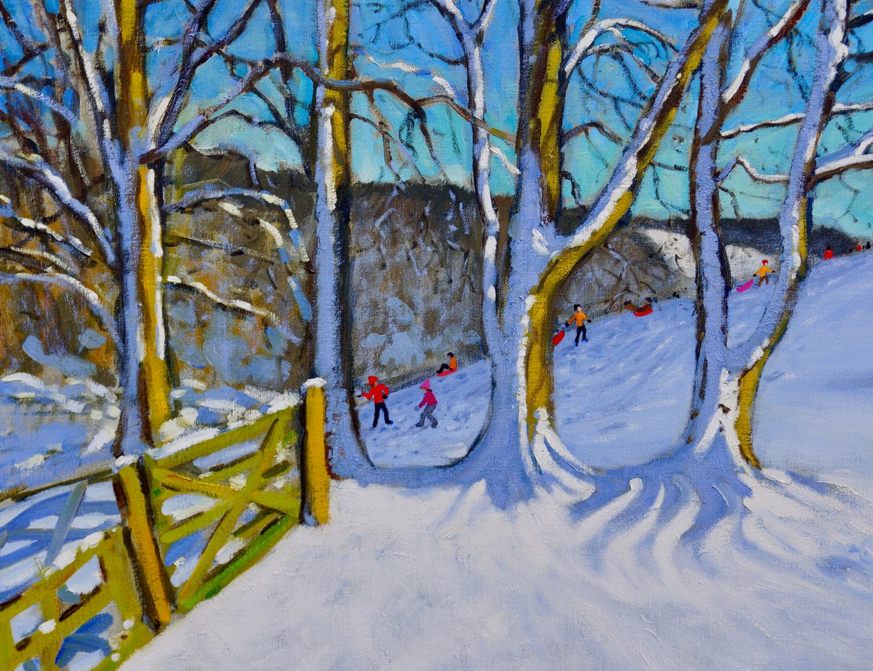 Sledging, Dam Lane, Derbyshire, 2017, af Andrew Macara