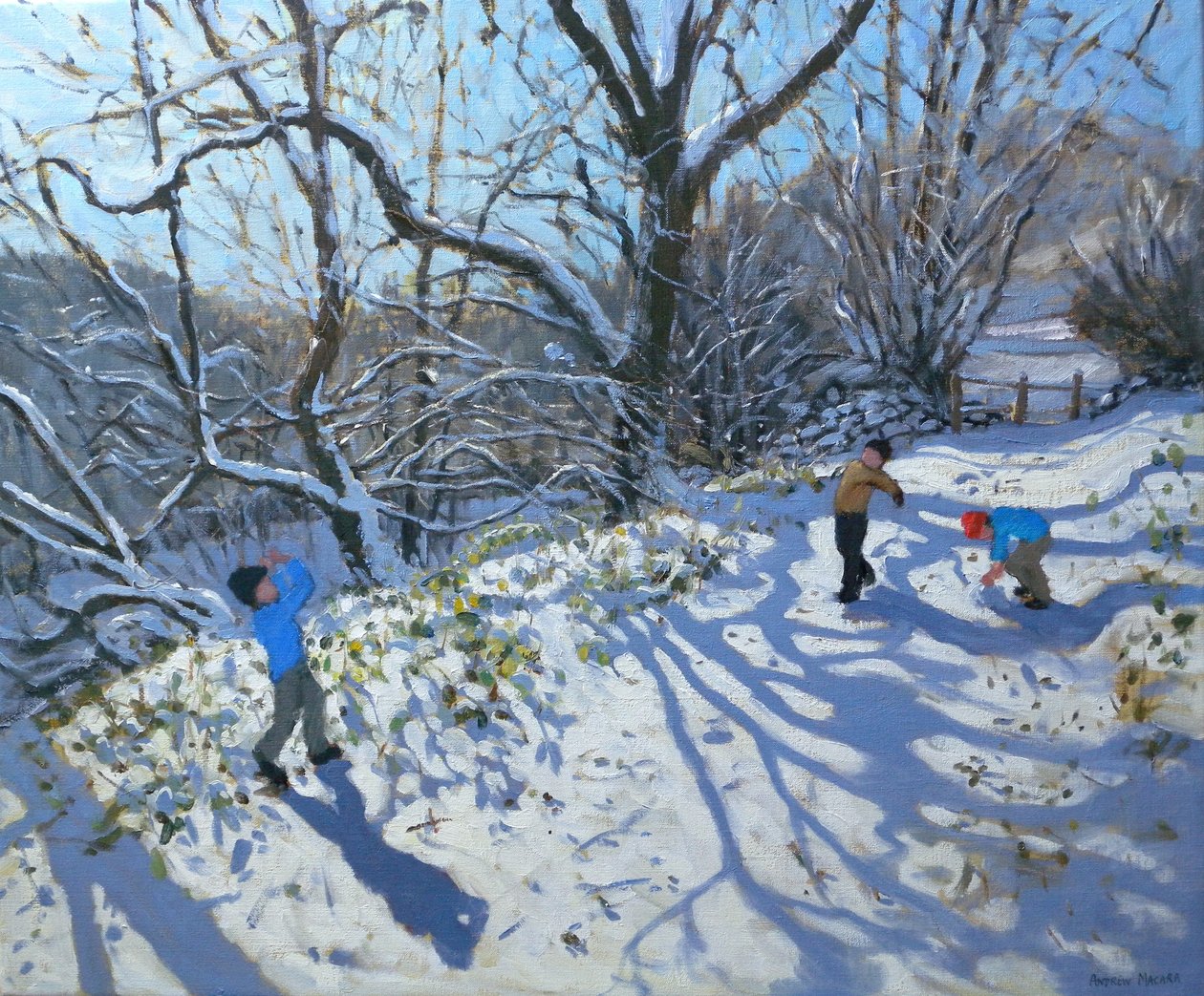 Sneboldkamp, 2007 af Andrew Macara