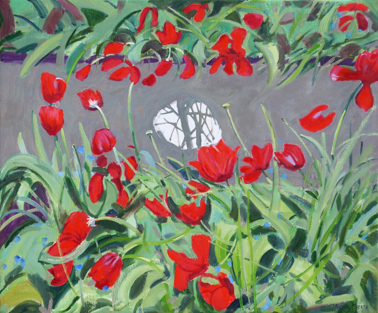 Tulipaner og refleksion,2017, af Andrew Macara