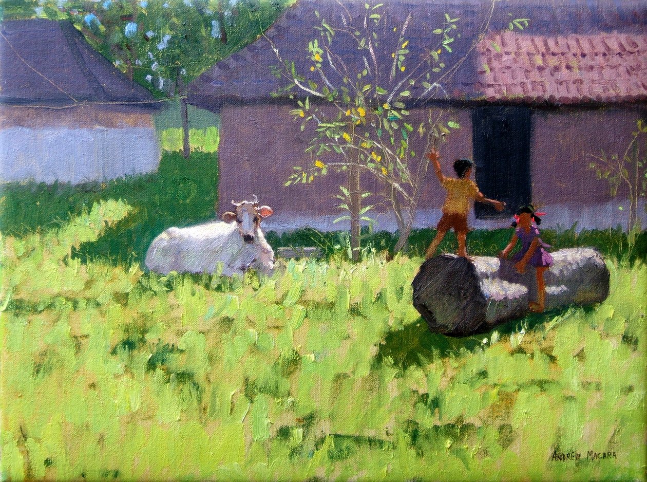 HVID KO OG TO BØRN,MANKOTTA ISLAND,KERALA,INDIEN af Andrew Macara