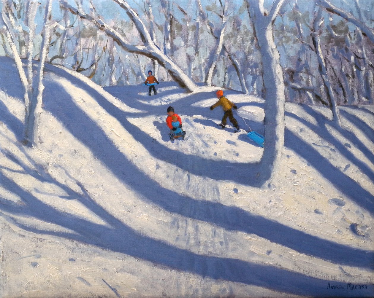 Winter, Bramcote, Nottingham, 2009 (olie på lærred) af Andrew Macara