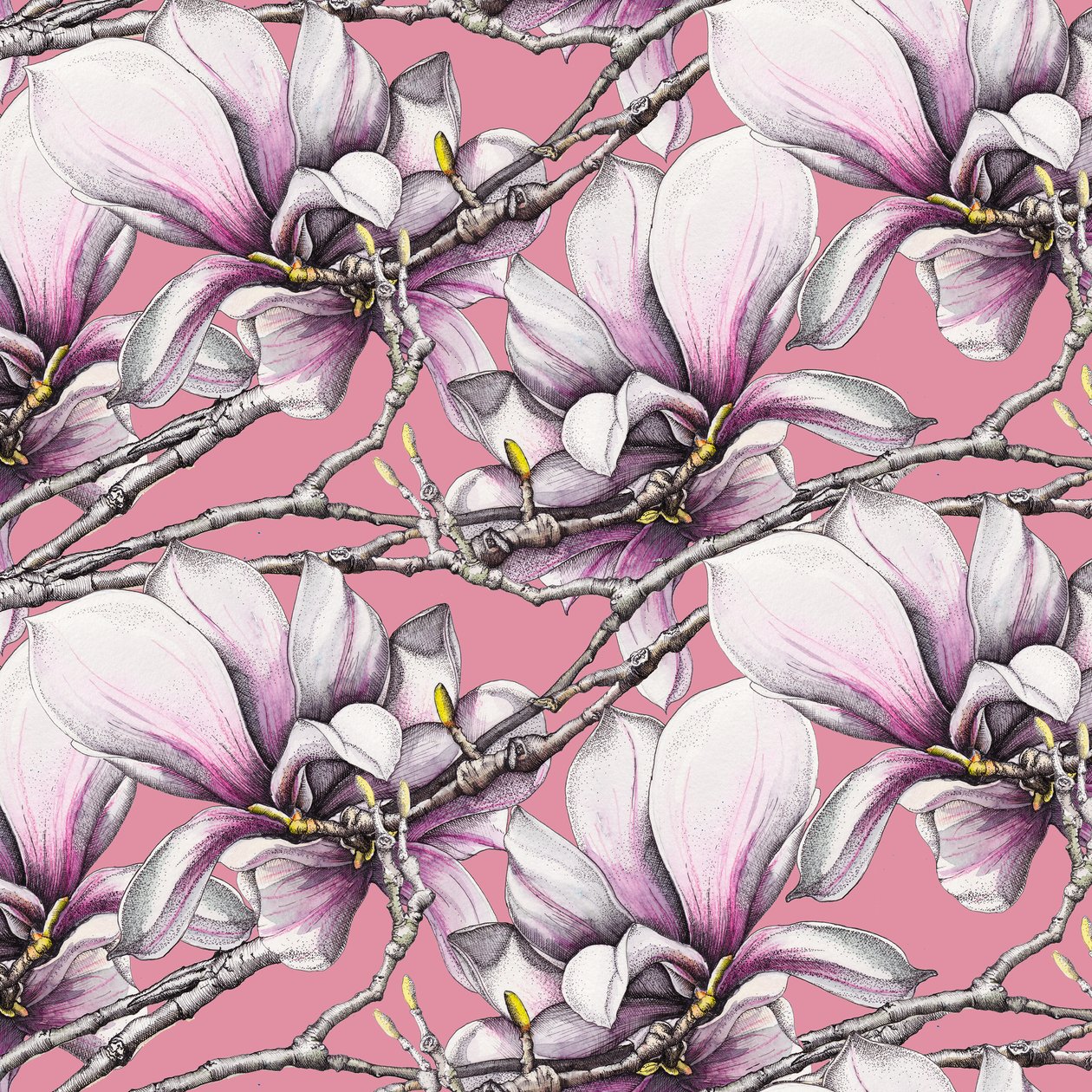 Magnolia, 2019 (akvarel, pen) af Andrew Watson