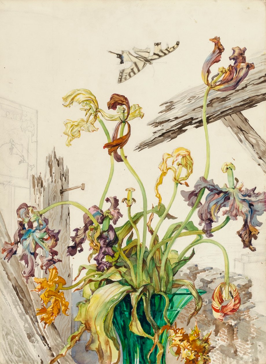 Tulipaner af Andrey Avinoff