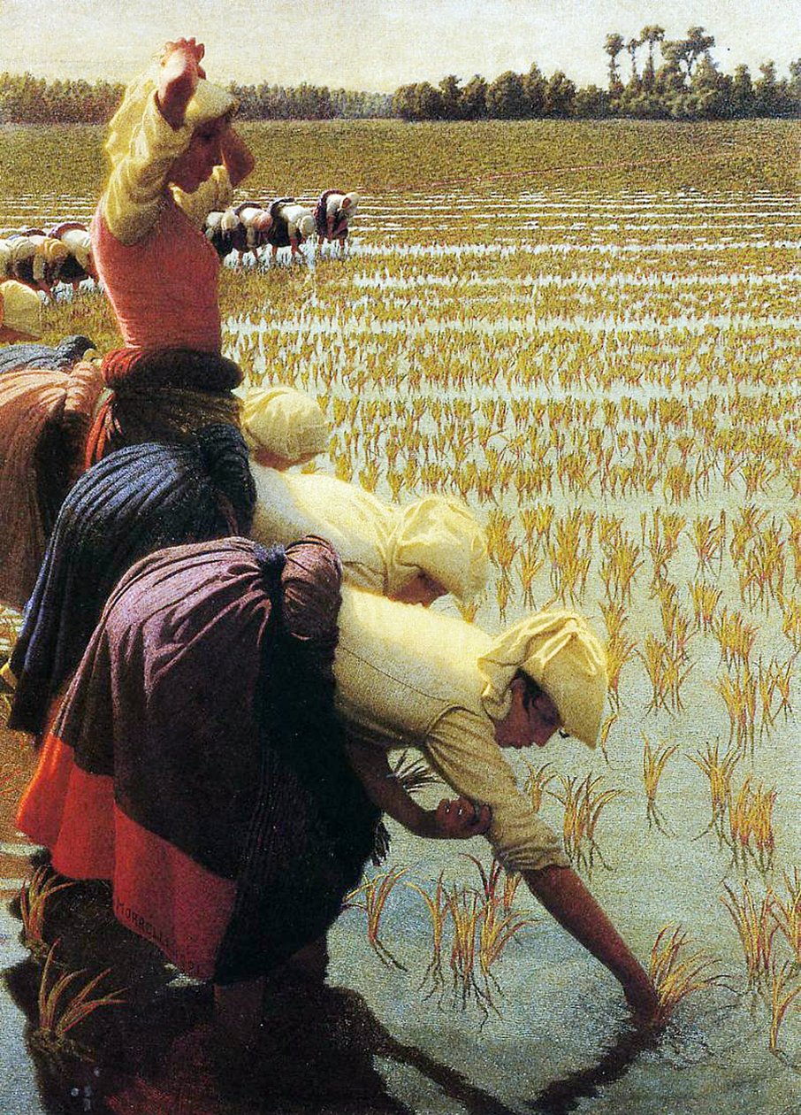 En italiensk rismark, 1901 af Angelo Morbelli