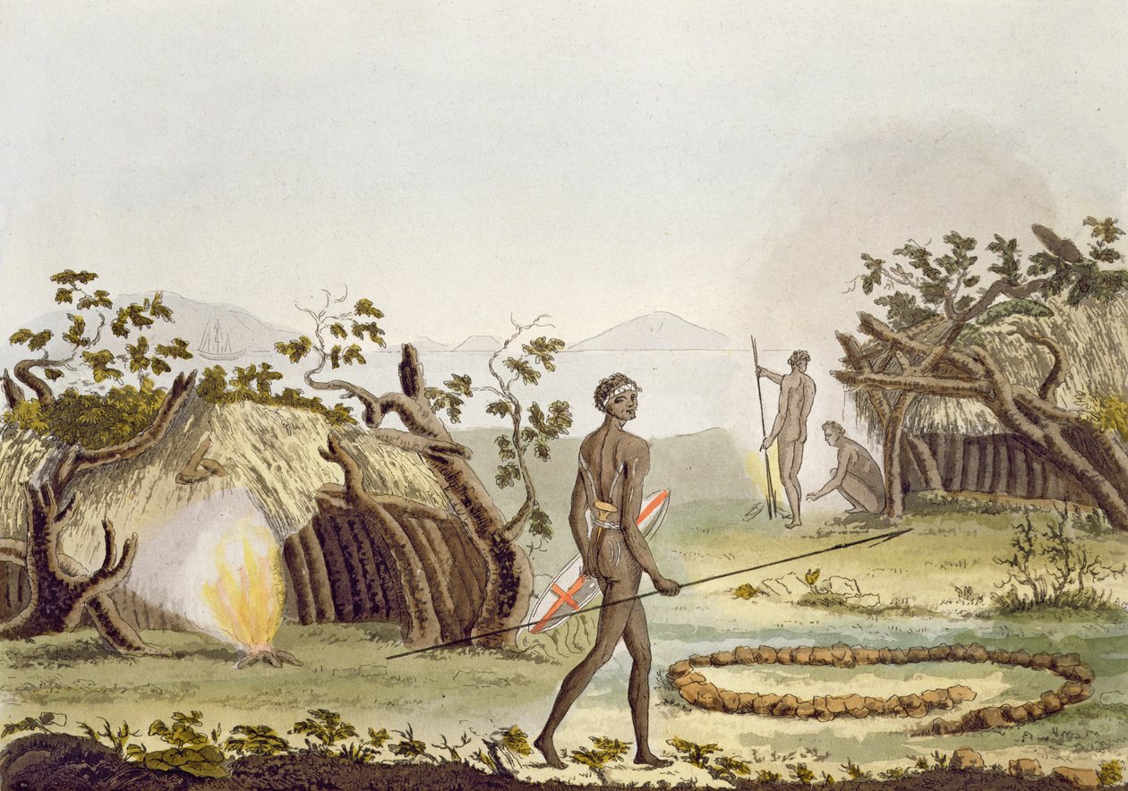 Native kabine, New Holland, plade 64 fra 