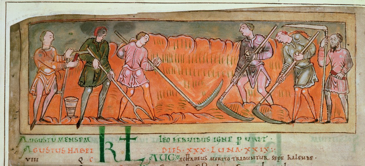 Cott Tib B V f.6v Harvesting, from a Calendar, c.1030 (vellum) (detalje af 41681) af Anglo Saxon