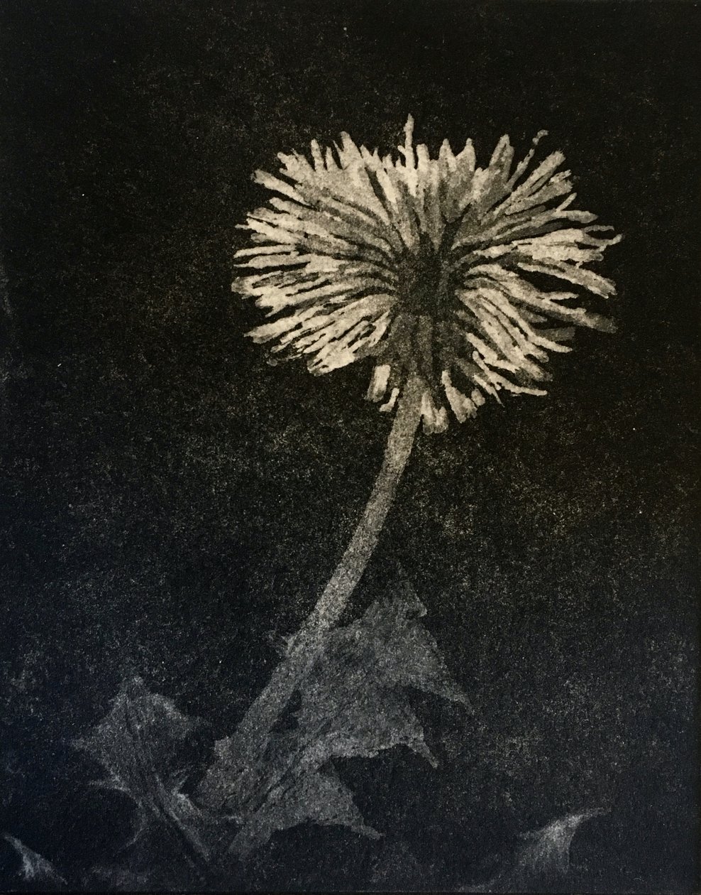 Hope, 2019 (ætsning og akvatint på papir) af angus hampel