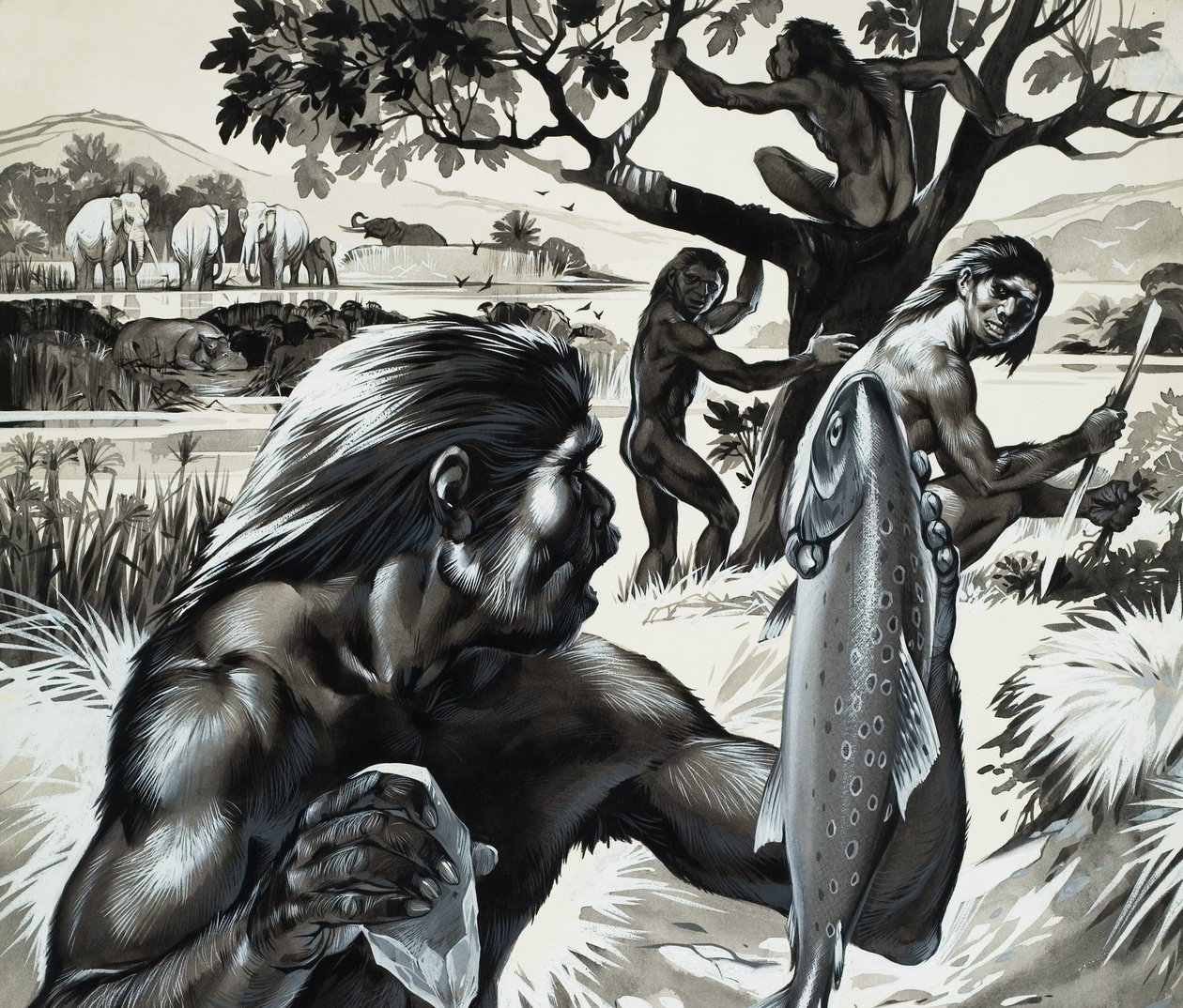 Mankind in the Making (gouache på papir) af Angus McBride