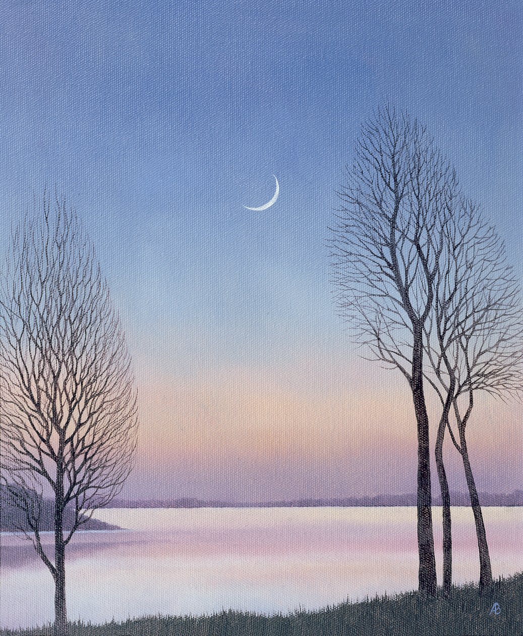 Dusk at Draycote, 2008 af Anna Phillips